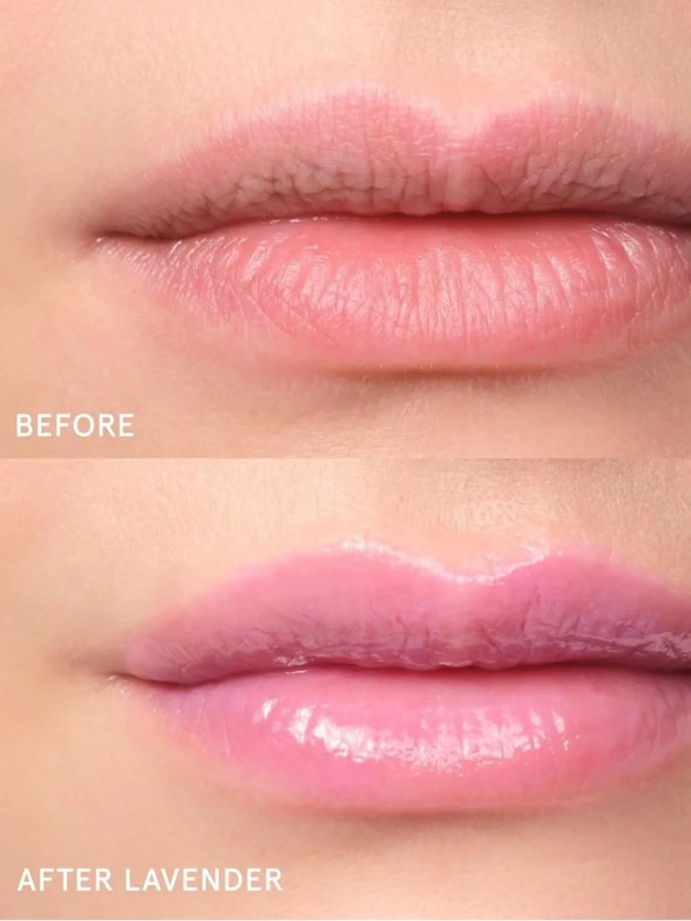 Glossier Lavender Balm Dotcom - Lavender Purple